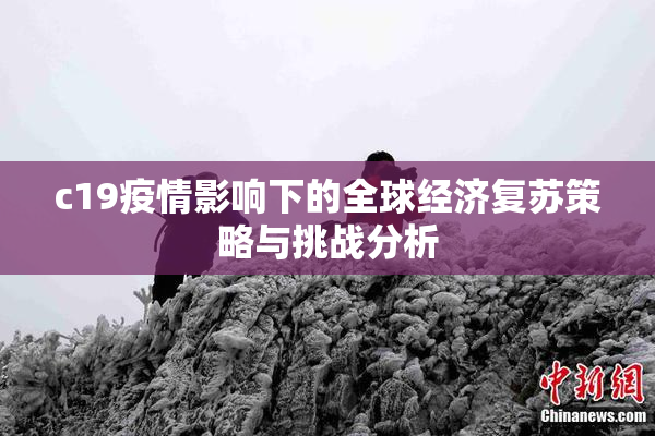 c19疫情影响下的全球经济复苏策略与挑战分析