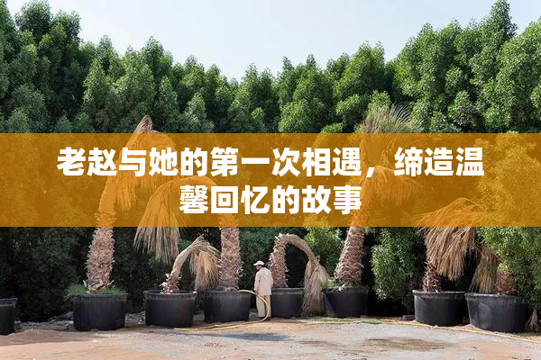 老赵与她的第一次相遇，缔造温馨回忆的故事