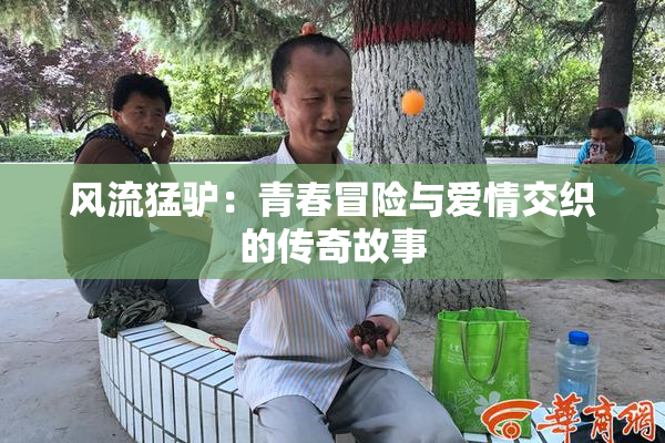 风流猛驴：青春冒险与爱情交织的传奇故事