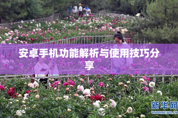 安卓手机功能解析与使用技巧分享