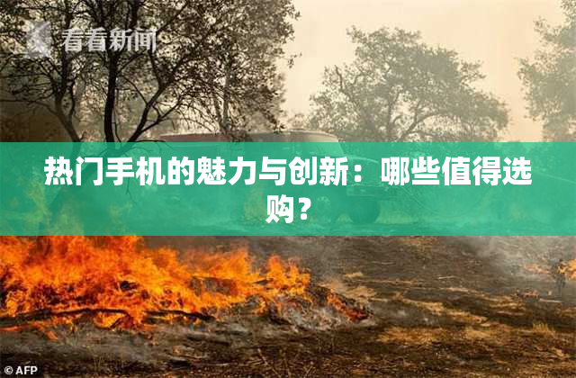 热门手机的魅力与创新：哪些值得选购？