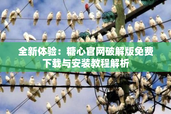 全新体验：糖心官网破解版免费下载与安装教程解析