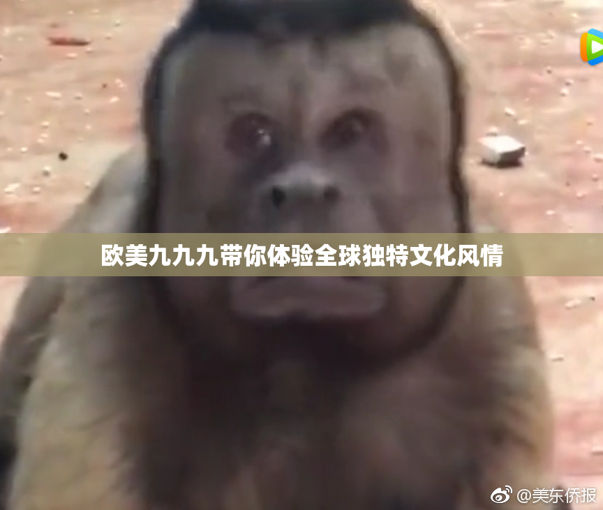 欧美九九九带你体验全球独特文化风情