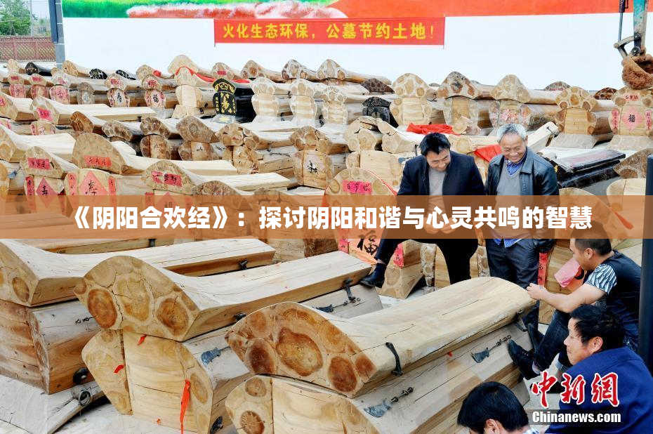 《阴阳合欢经》：探讨阴阳和谐与心灵共鸣的智慧