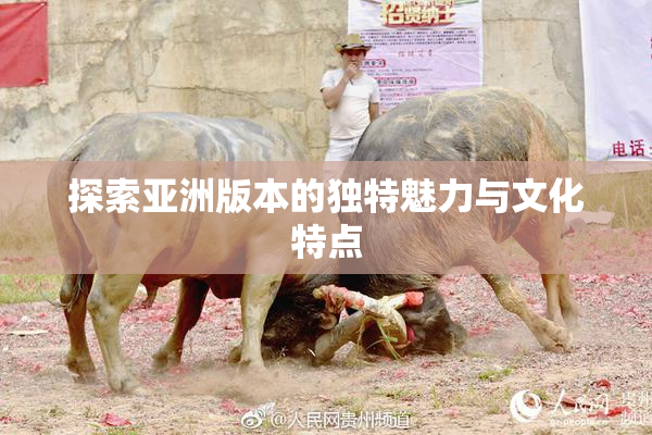 探索亚洲版本的独特魅力与文化特点
