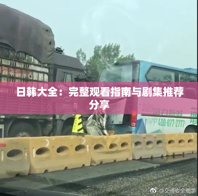 日韩大全：完整观看指南与剧集推荐分享