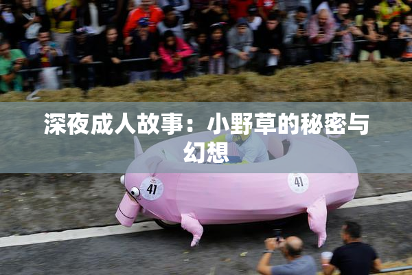 深夜成人故事：小野草的秘密与幻想