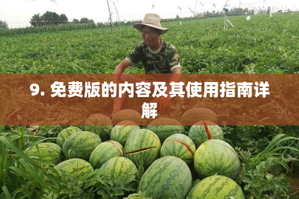 9. 免费版的内容及其使用指南详解