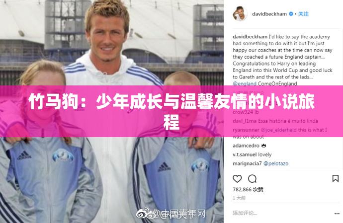 竹马狗：少年成长与温馨友情的小说旅程