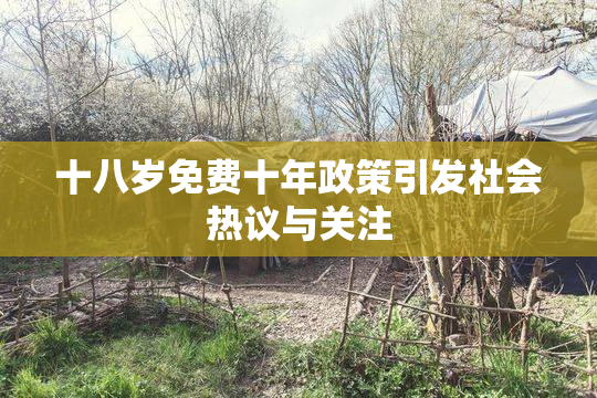 十八岁免费十年政策引发社会热议与关注