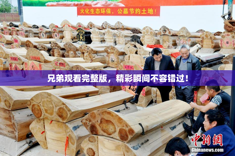 兄弟观看完整版，精彩瞬间不容错过！