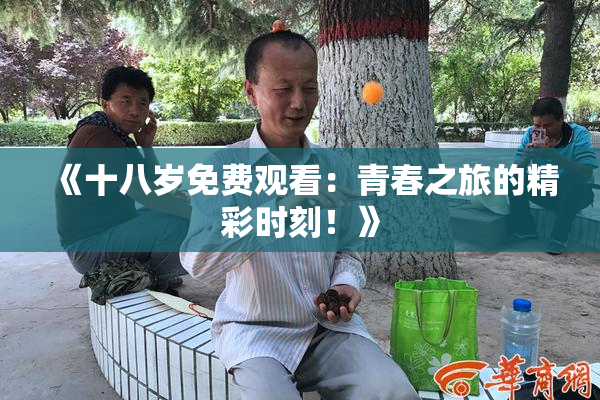 《十八岁免费观看：青春之旅的精彩时刻！》