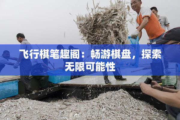 飞行棋笔趣阁：畅游棋盘，探索无限可能性
