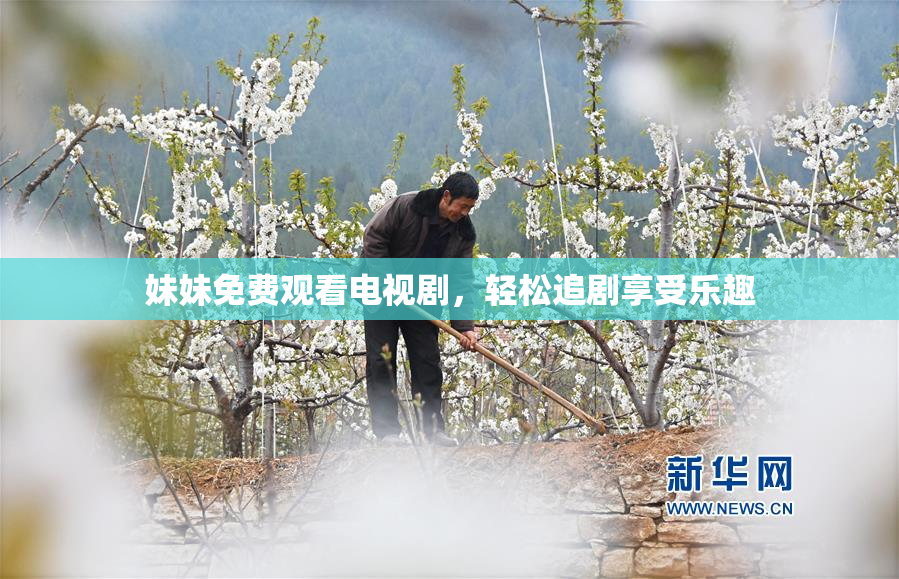 妹妹免费观看电视剧，轻松追剧享受乐趣