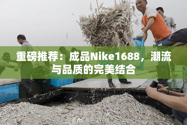 重磅推荐：成品Nike1688，潮流与品质的完美结合