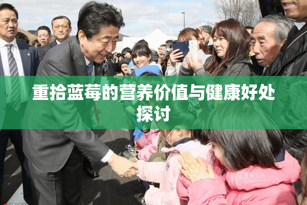 重拾蓝莓的营养价值与健康好处探讨