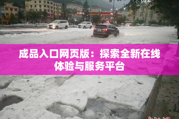 成品入口网页版：探索全新在线体验与服务平台