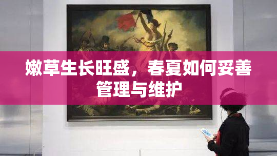 嫩草生长旺盛，春夏如何妥善管理与维护