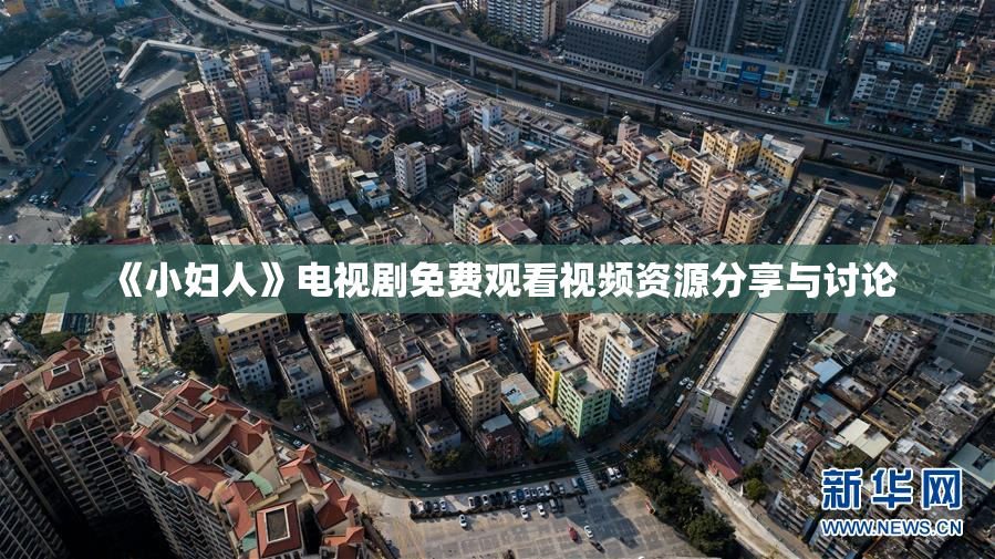 《小妇人》电视剧免费观看视频资源分享与讨论