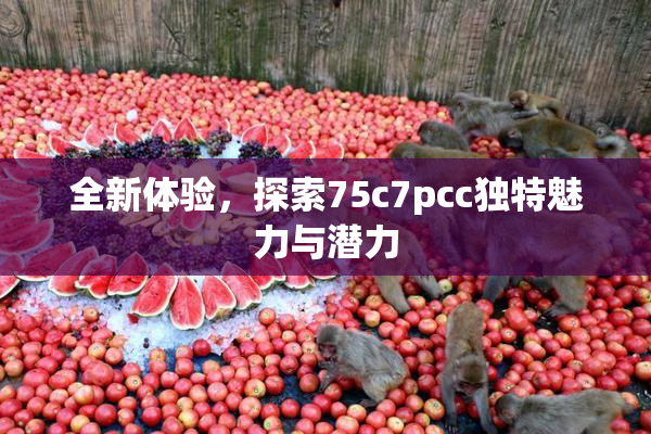 全新体验，探索75c7pcc独特魅力与潜力