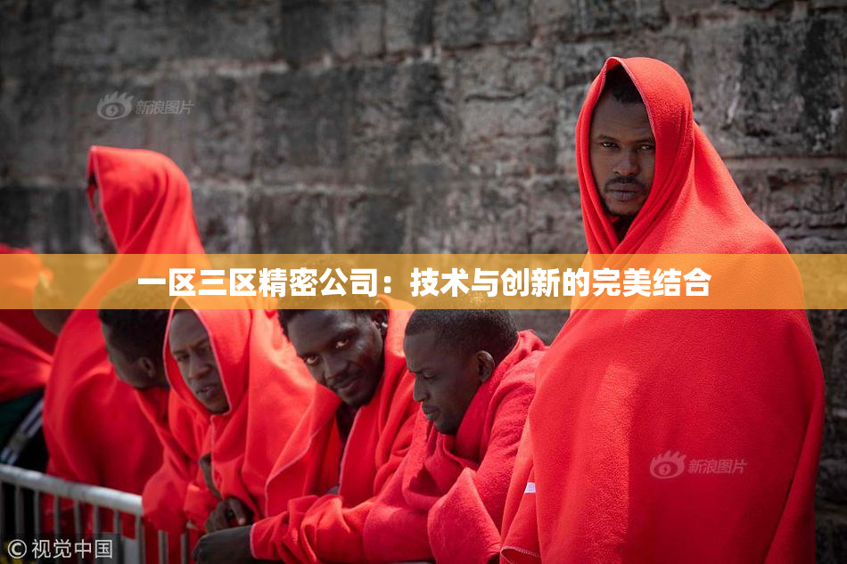 一区三区精密公司：技术与创新的完美结合