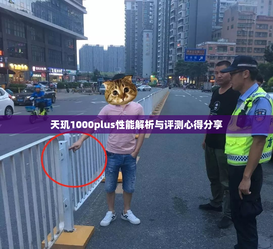 天玑1000plus性能解析与评测心得分享