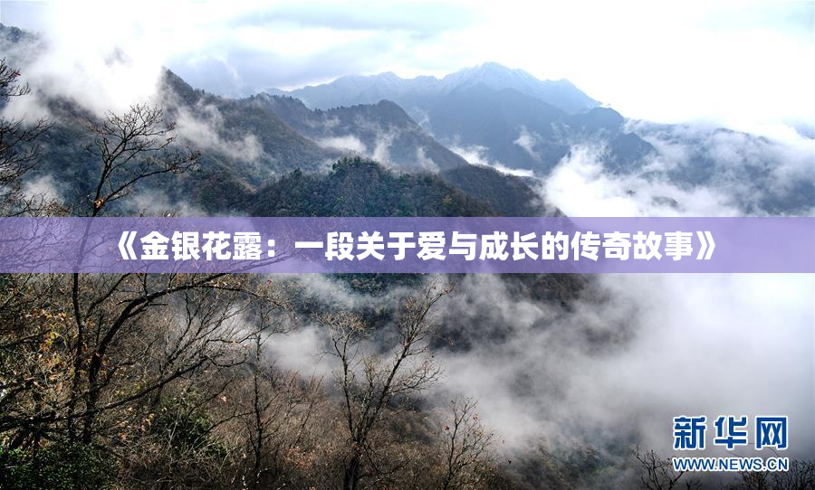 《金银花露：一段关于爱与成长的传奇故事》