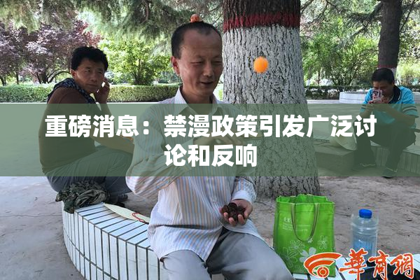 重磅消息：禁漫政策引发广泛讨论和反响
