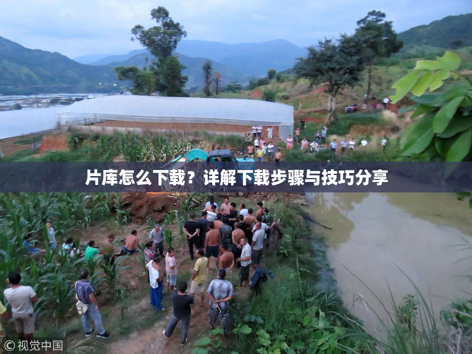 片库怎么下载？详解下载步骤与技巧分享