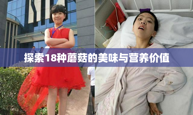 探索18种蘑菇的美味与营养价值