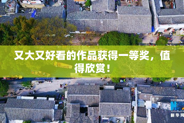 又大又好看的作品获得一等奖，值得欣赏！