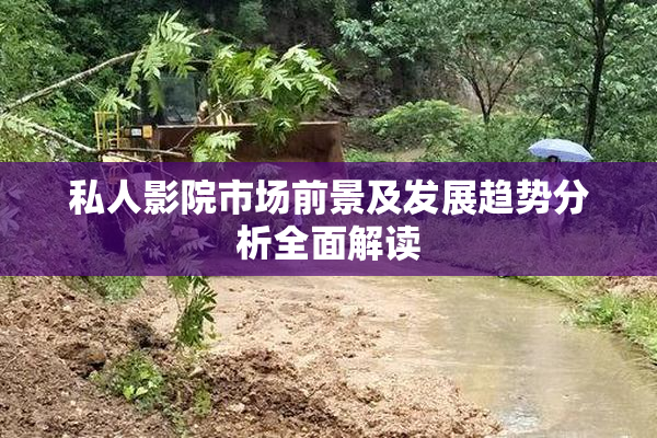私人影院市场前景及发展趋势分析全面解读