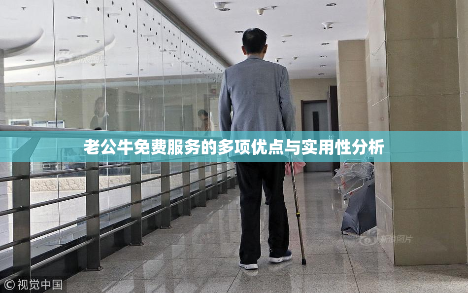 老公牛免费服务的多项优点与实用性分析