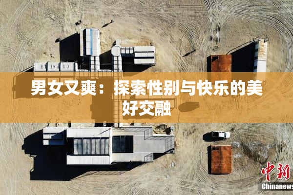 男女又爽：探索性别与快乐的美好交融
