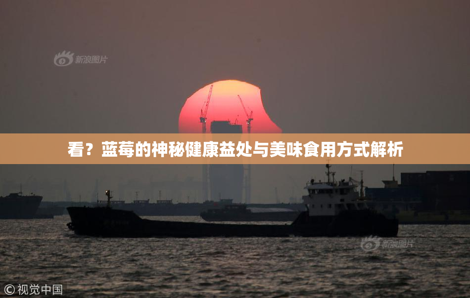 看？蓝莓的神秘健康益处与美味食用方式解析