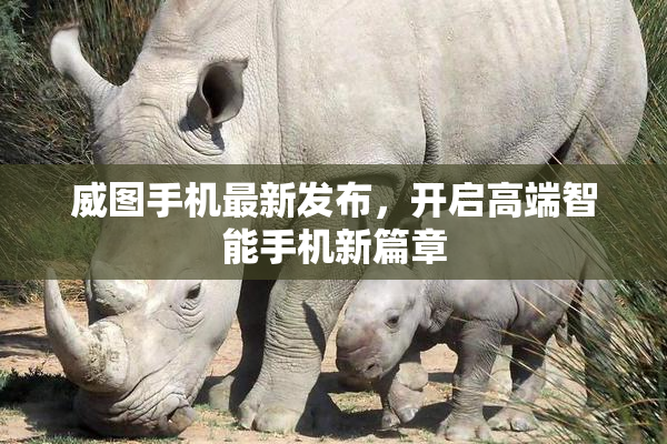 威图手机最新发布，开启高端智能手机新篇章