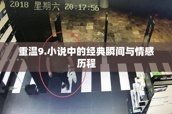 重温9.小说中的经典瞬间与情感历程
