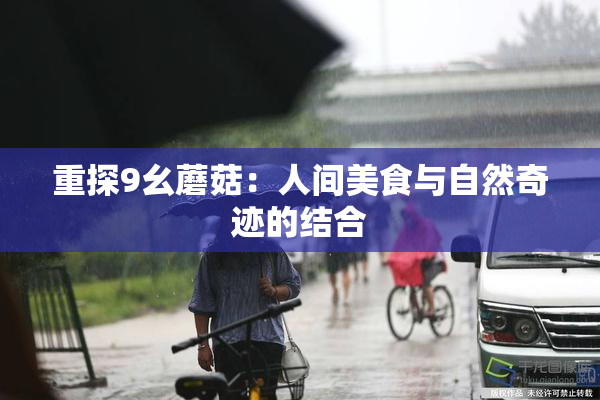 重探9幺蘑菇：人间美食与自然奇迹的结合