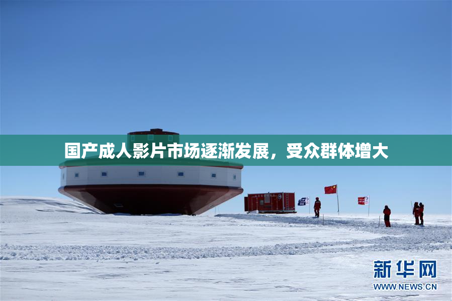国产成人影片市场逐渐发展，受众群体增大