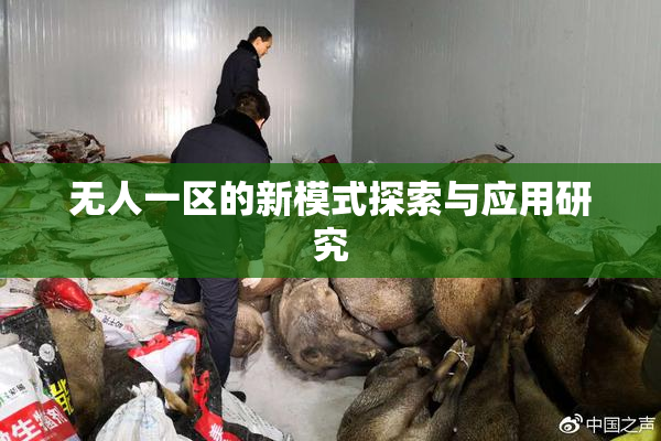 无人一区的新模式探索与应用研究