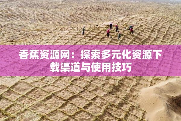 香蕉资源网：探索多元化资源下载渠道与使用技巧
