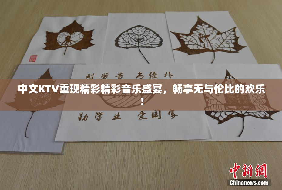 中文KTV重现精彩精彩音乐盛宴，畅享无与伦比的欢乐！