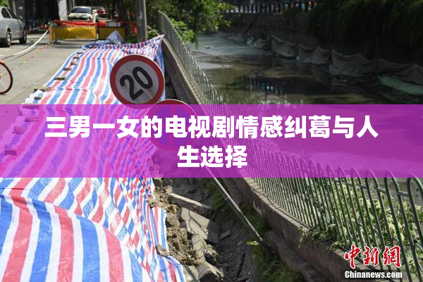 三男一女的电视剧情感纠葛与人生选择