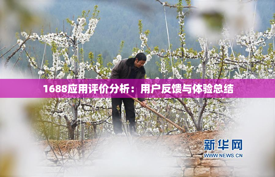 1688应用评价分析：用户反馈与体验总结