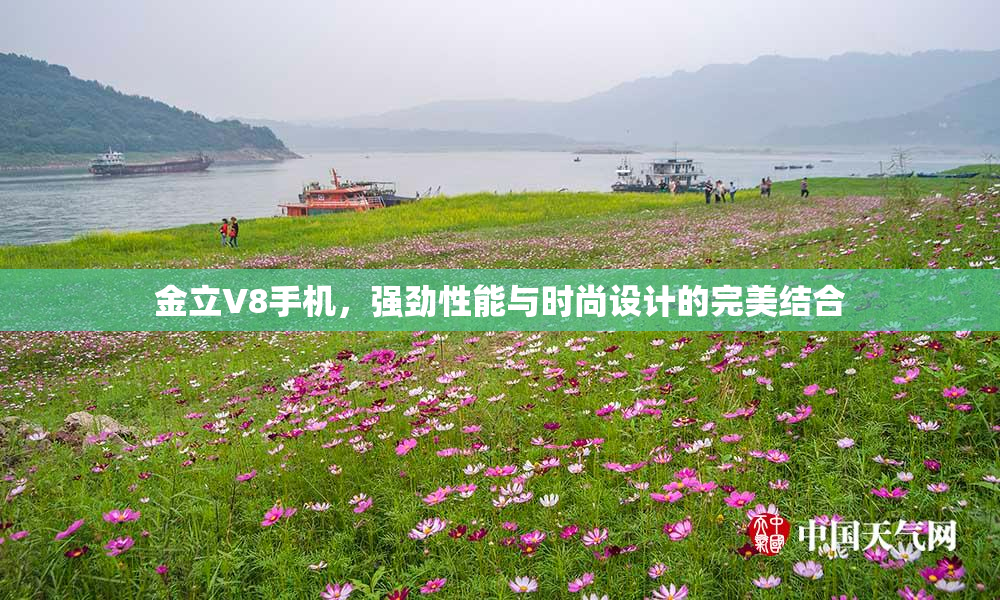 金立V8手机，强劲性能与时尚设计的完美结合
