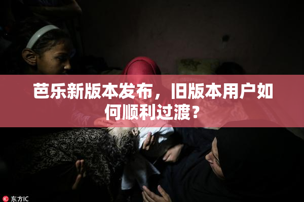芭乐新版本发布，旧版本用户如何顺利过渡？