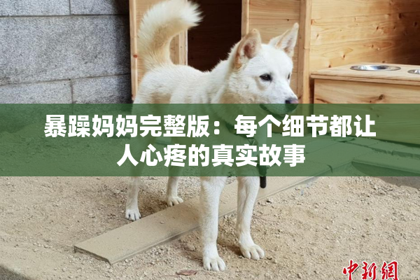 暴躁妈妈完整版：每个细节都让人心疼的真实故事