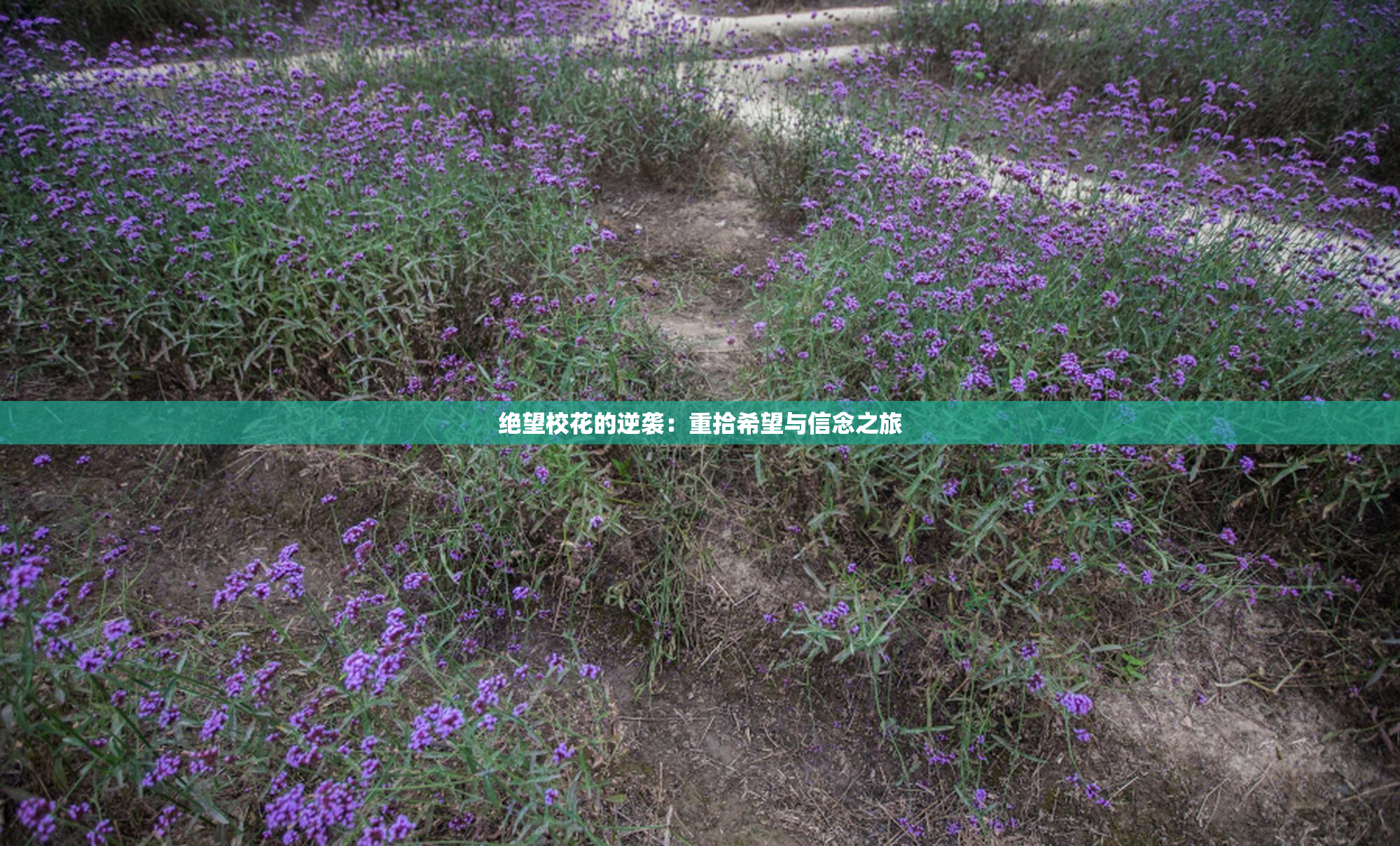 绝望校花的逆袭：重拾希望与信念之旅