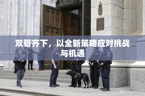 双管齐下，以全新策略应对挑战与机遇