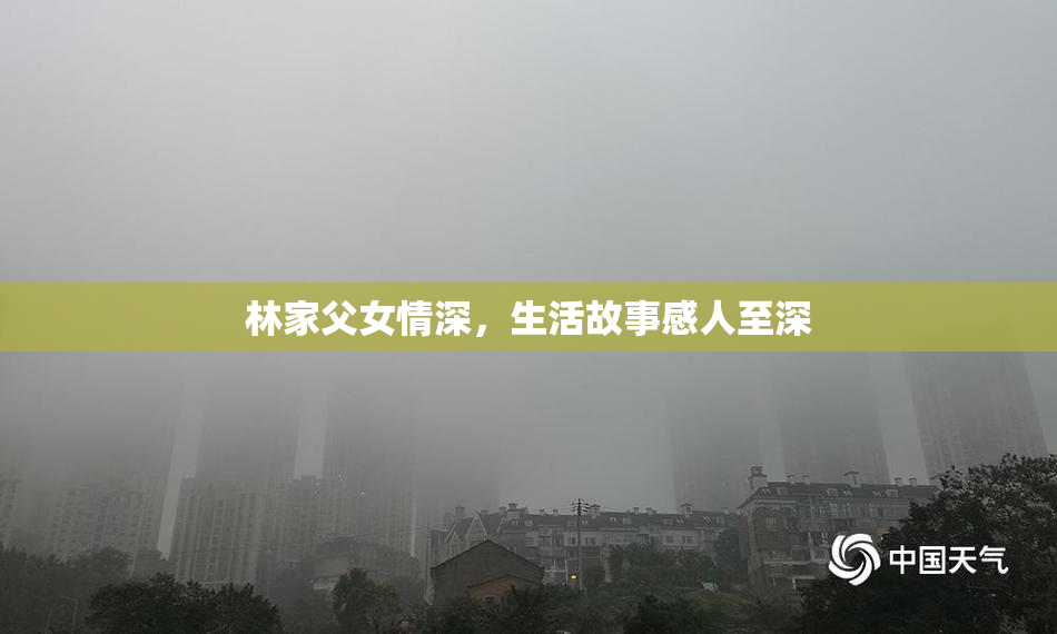 林家父女情深，生活故事感人至深